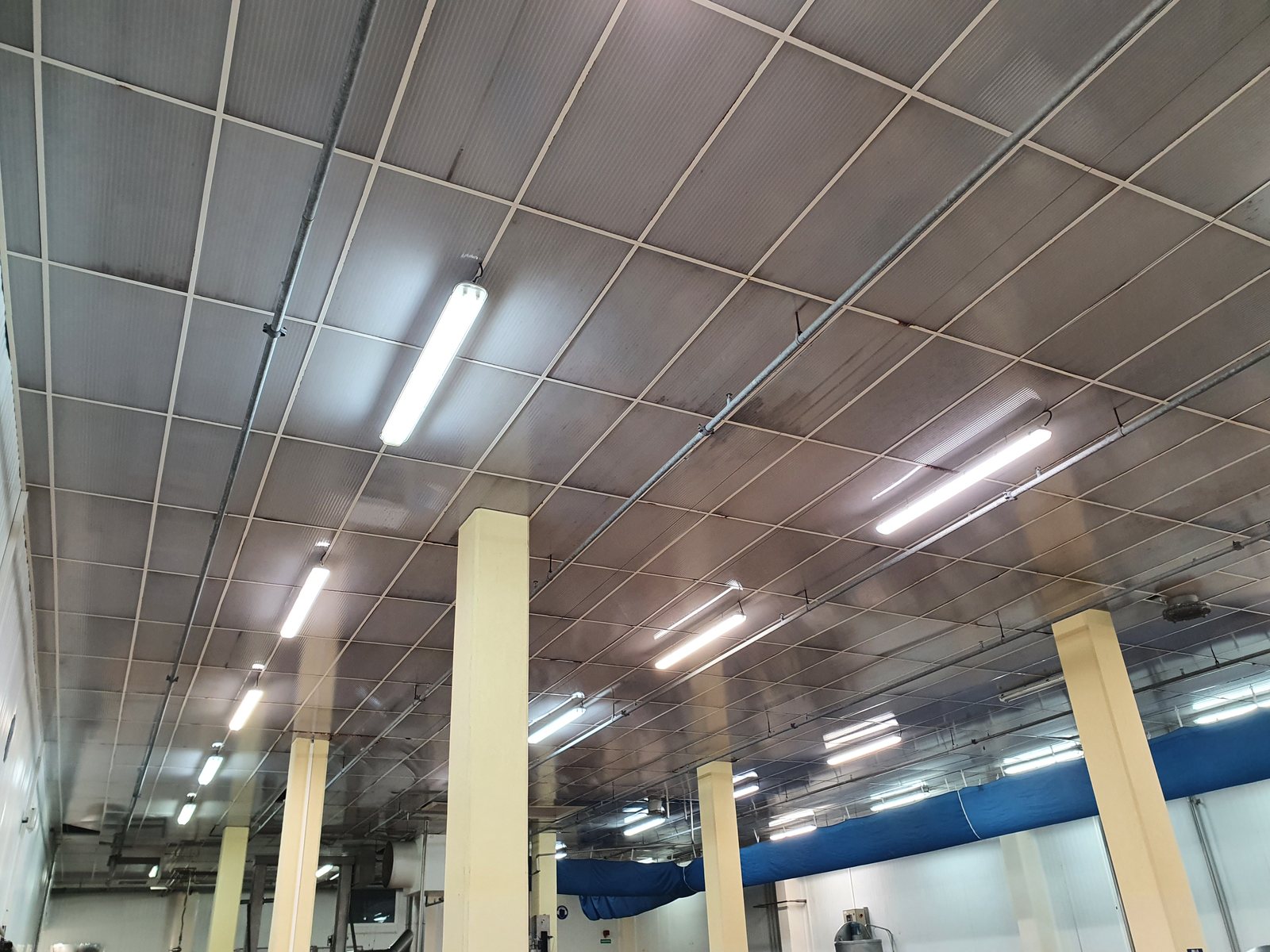 Plafond suspendu dont les dalles sont grisées et tachées par la condensation, avant intervention
