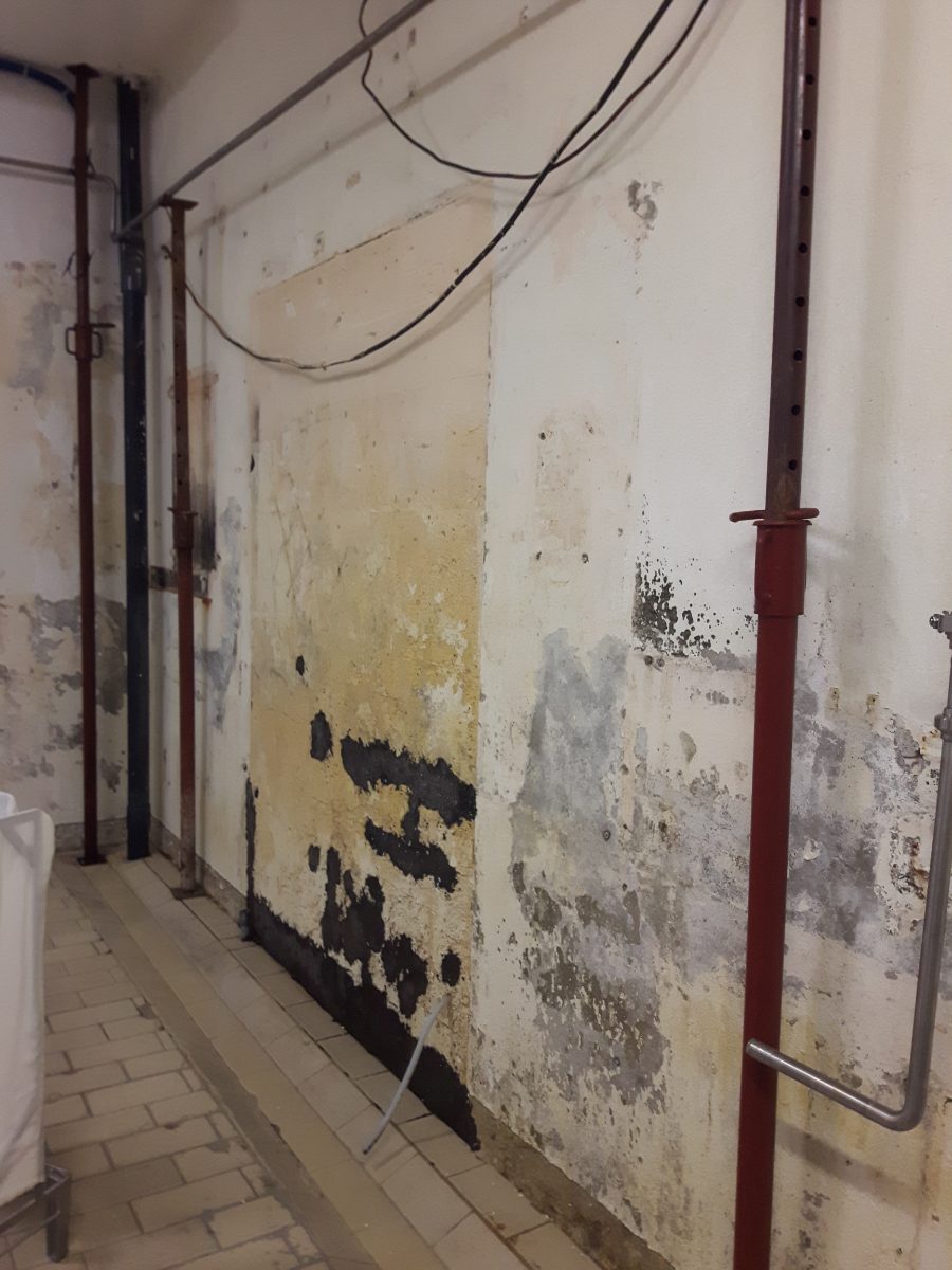 Mur peint cloqué, écaillé et couvert de moisissures dans un local humide